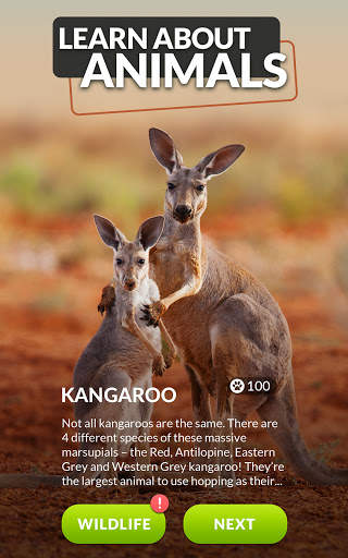Words and Animals - Crosswords screenshot 7