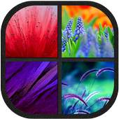 Beautiful Theme and Launcher 1.0