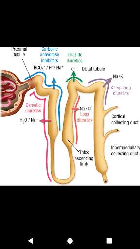 Anesthesiology, Third Edition screenshot 7