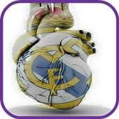Real Madrid Wallpaper 1.1