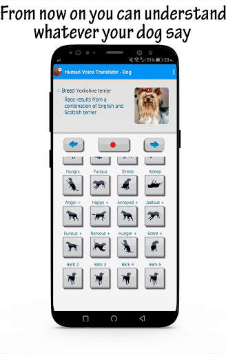 Bark Translator : How to understand your dog screenshot 1