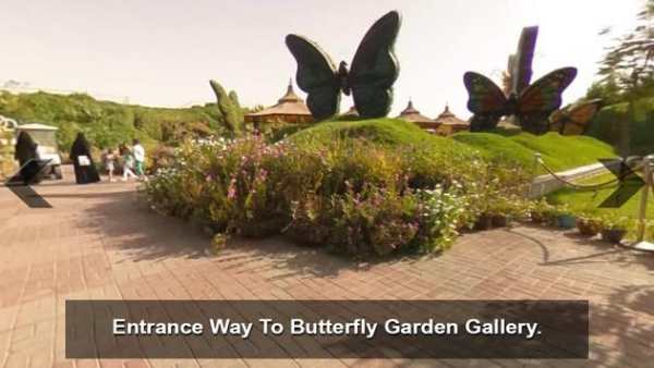 Dubai Butterfly Garden 360View screenshot 4
