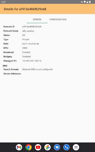 ZeroTier One screenshot 6