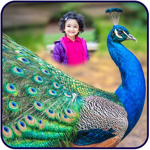 Peacock Photo Frames 1.1
