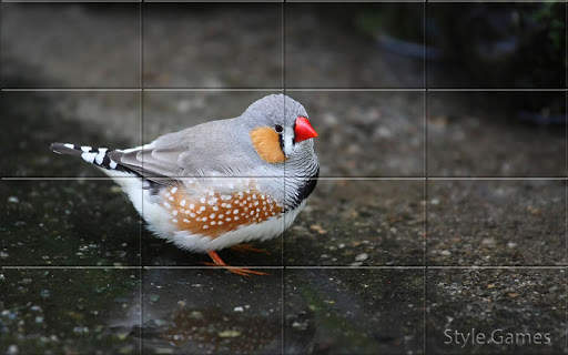 Sparrows Puzzle स्क्रीनशॉट 9
