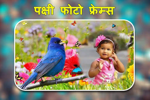 पक्षी फोटो फ्रेम्स। स्क्रीनशॉट 1
