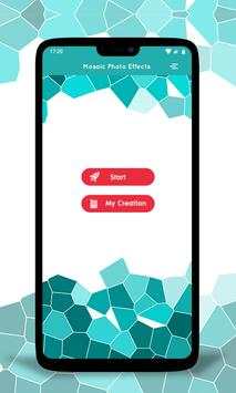 Mosaic Photo Effects 2 تصوير الشاشة