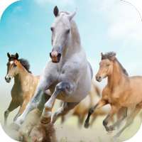 Horses Live Wallpaper logo