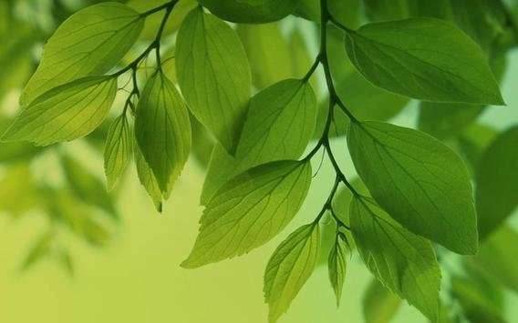 Galaxy S4 wallpaper HD screenshot 4