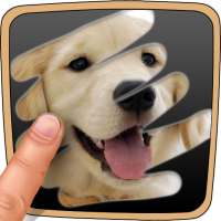 Quiz sugli animali Grattalo. Gioco a quiz on 9Apps