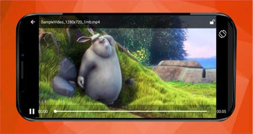 AcePlayer (HD Video Player) screenshot 5