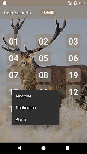 Deer Sounds screenshot 2