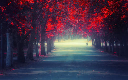 Park Wallpaper screenshot 2