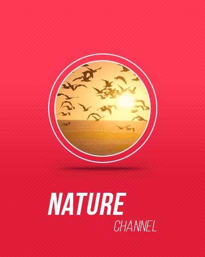 Little TV for Android Wear screenshot 7