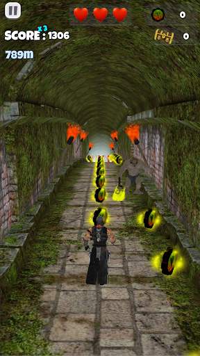 Ninja screenshot 1