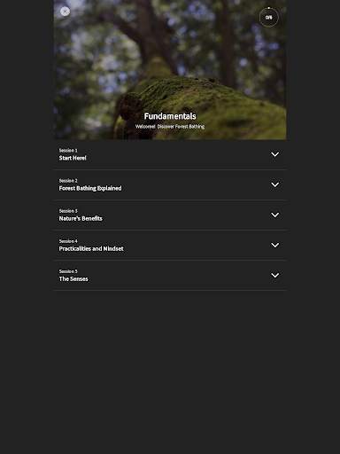 Forest Bathing Life screenshot 12