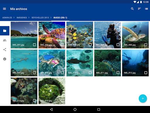 IONOS HiDrive screenshot 9