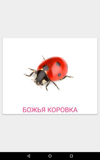 Карточки Домана screenshot 12