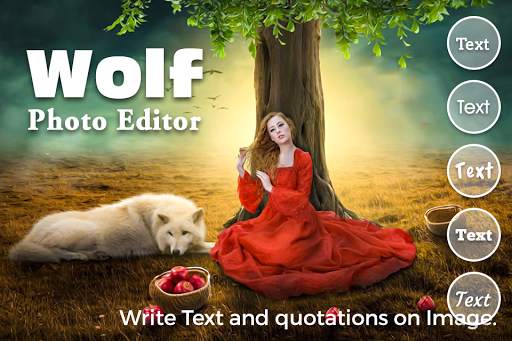 Wolf Photo Editor - Wolf Face & Eye Photo Editor screenshot 1
