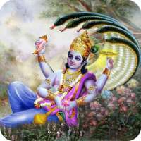 Om Namo Narayanaya