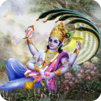 Om Namo Narayanaya