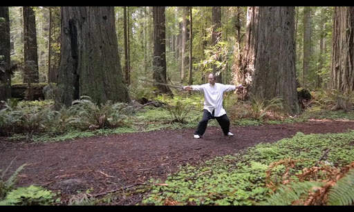 Tai Chi Sword for Beginners (YMAA) screenshot 15