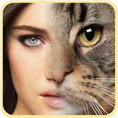 Face Lite icon