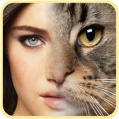 Face Lite 2.0