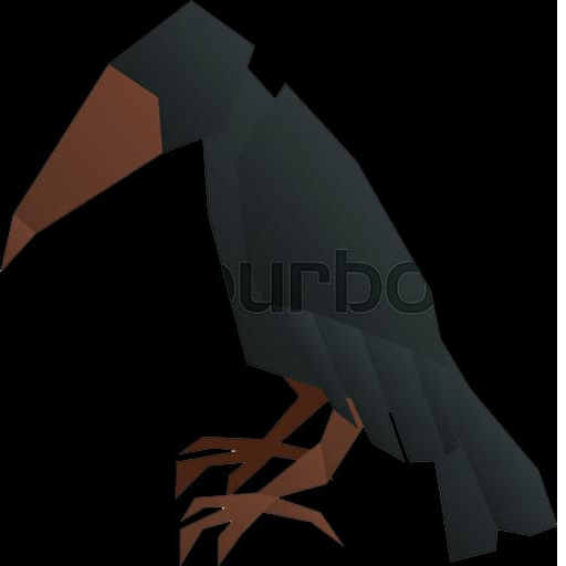 Crow Bird Fact icon