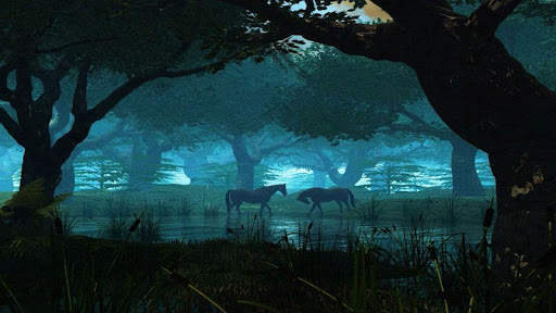 Forest HD Backgrounds screenshot 7