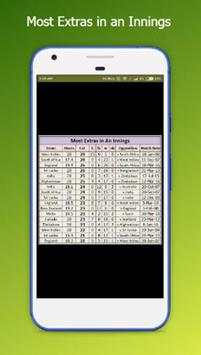 World Record Cricket screenshot 6