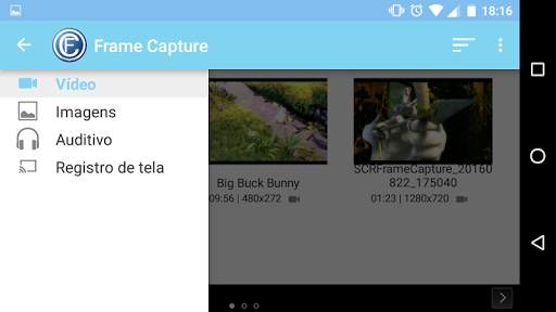 Frame Capture screenshot 4