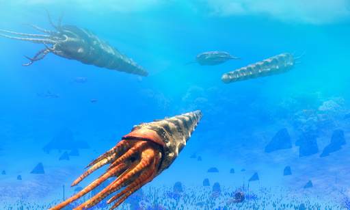 Cameroceras Simulator screenshot 3