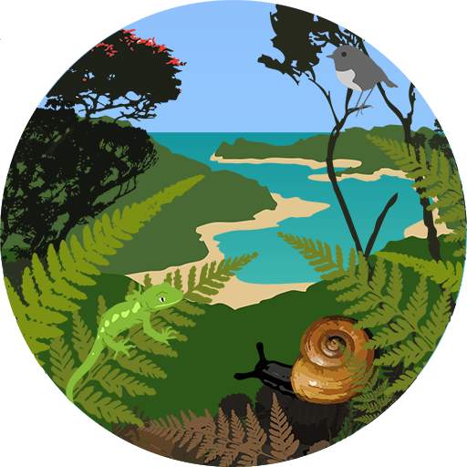 Abel Tasman 3.3.3