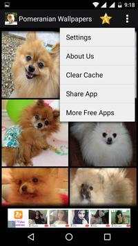 Pomeranian Dog HD Wallpapers 7 تصوير الشاشة