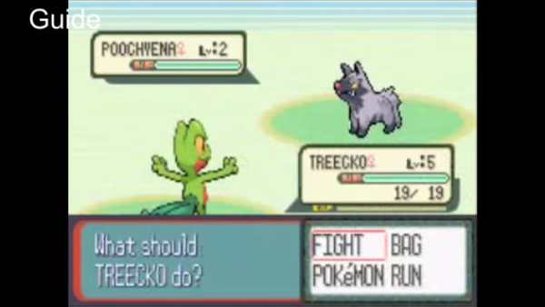 CODE For Pokemon Ruby(GBA) screenshot 2