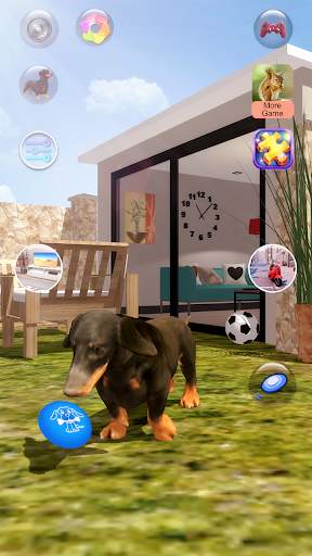 Parler des chiens screenshot 3
