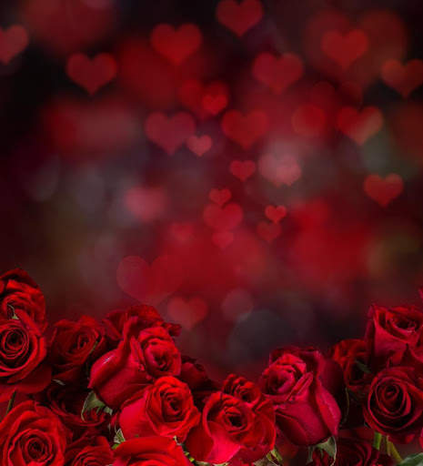 Rose Wallpapers screenshot 2