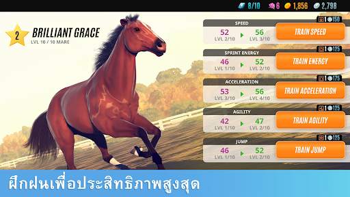 Rival Stars ม้าแข่ง screenshot 4