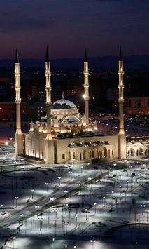 Mosque Wallpapers screenshot 8