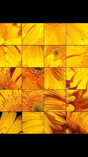 Pictures Puzzle Best Game screenshot 2