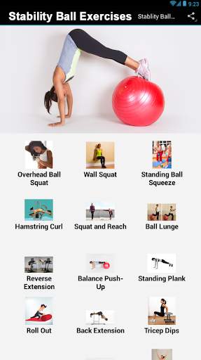 Stability Ball Exercises screenshot 1