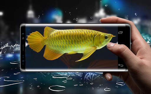 New Arowana Gold LiveWallpaper screenshot 3
