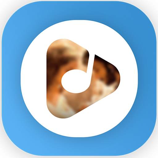 Video Songs Status , Funny video, latest video 1.3