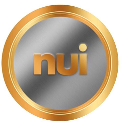 Herramientas para desarrollar NUI INternational иконка