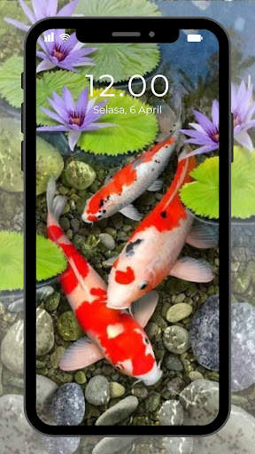 Wallpaper Ikan Koi Hidup screenshot 1