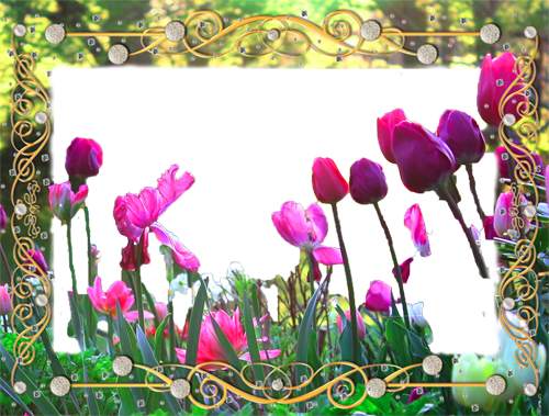Flower Frames Photo Maker screenshot 6
