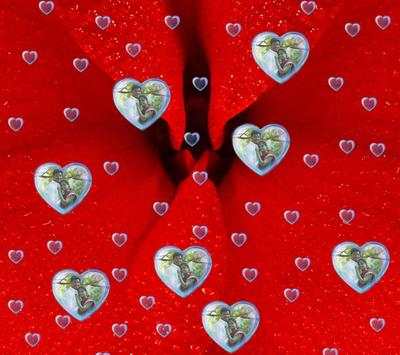 Heart photo wall paper screenshot 1