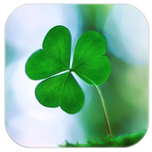 Clover Lucky grass icon