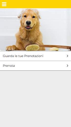 Crazy Animal Pet Shop screenshot 3